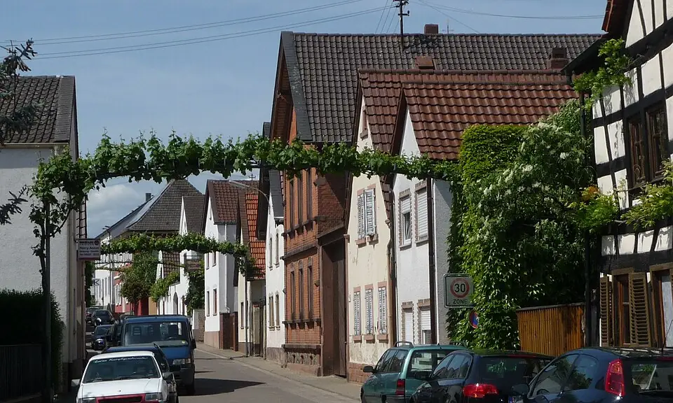Ansicht von Ellerstadt