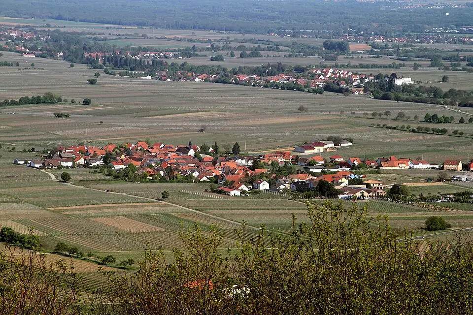 Ansicht von Flemlingen