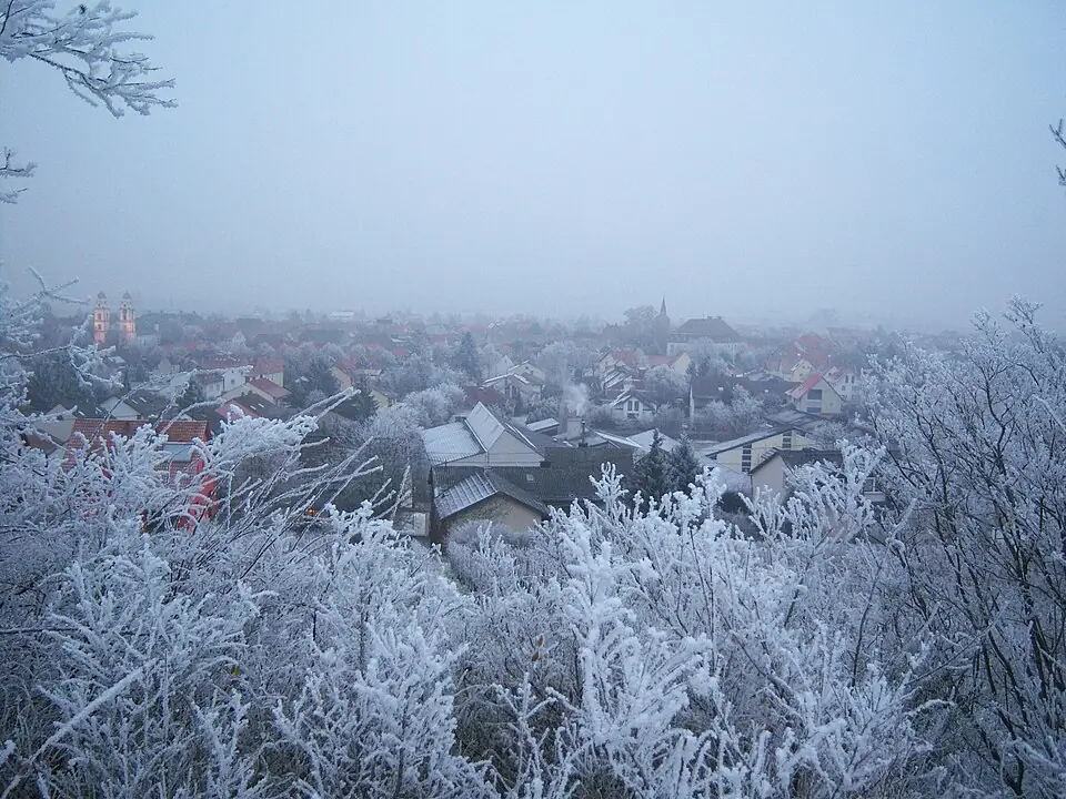 Ansicht von Guntersblum