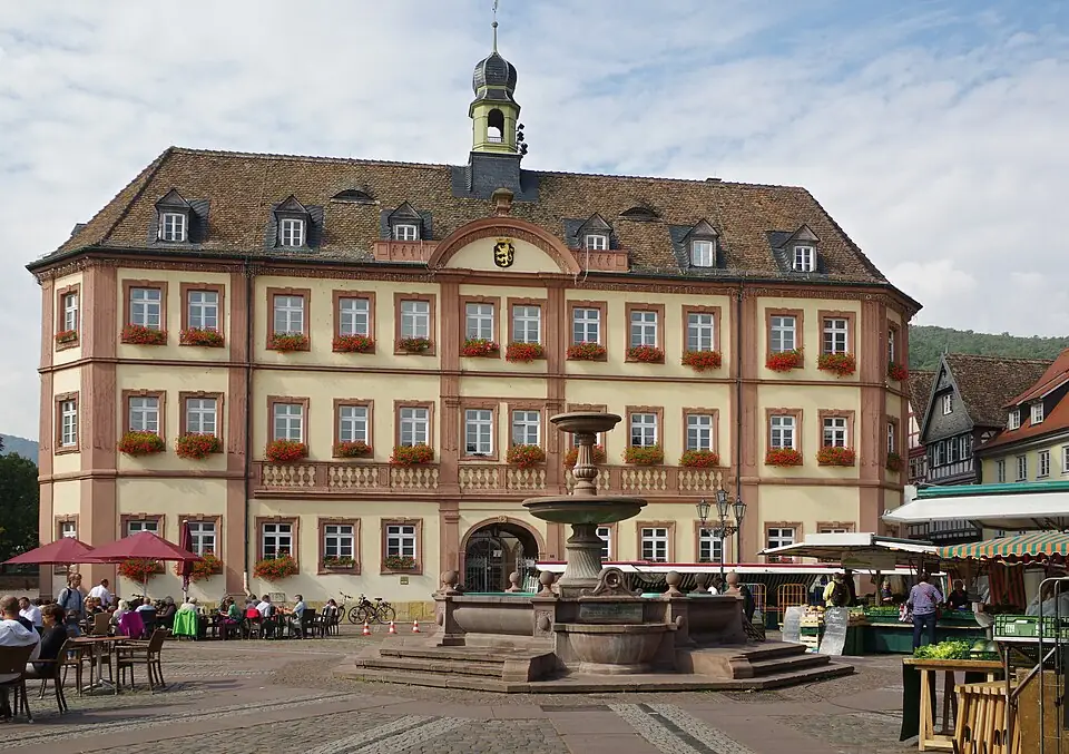 Ansicht von Neustadt an der Weinstraße