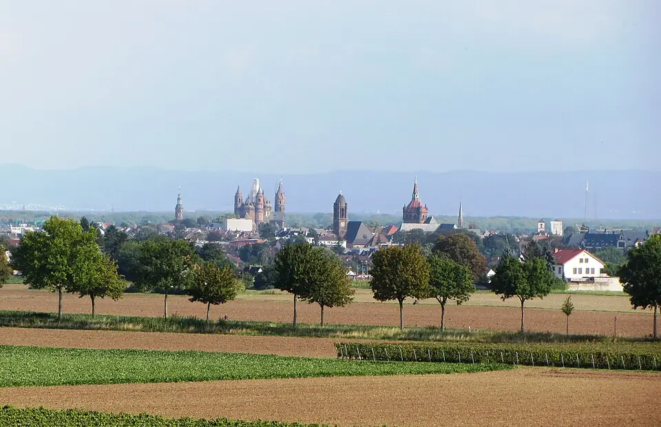 Ansicht von Worms
