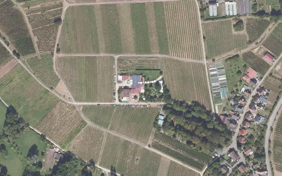 Luftbild der Umgebung von Johanneshof in Siebeldingen