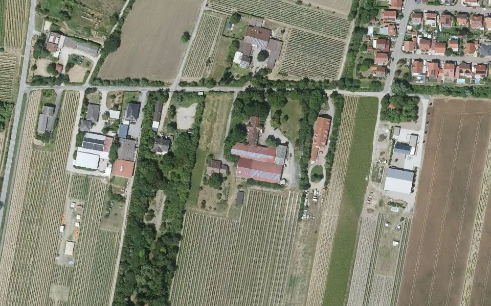 Luftbild der Umgebung von Sander Ökologische Weine in Mettenheim