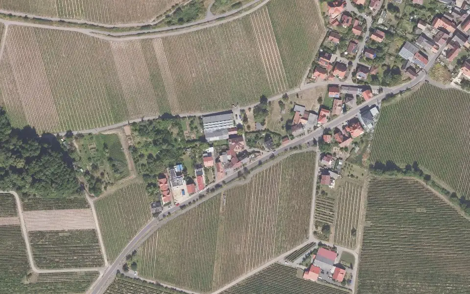 Luftbild der Umgebung von Weingut Bauer in Burrweiler