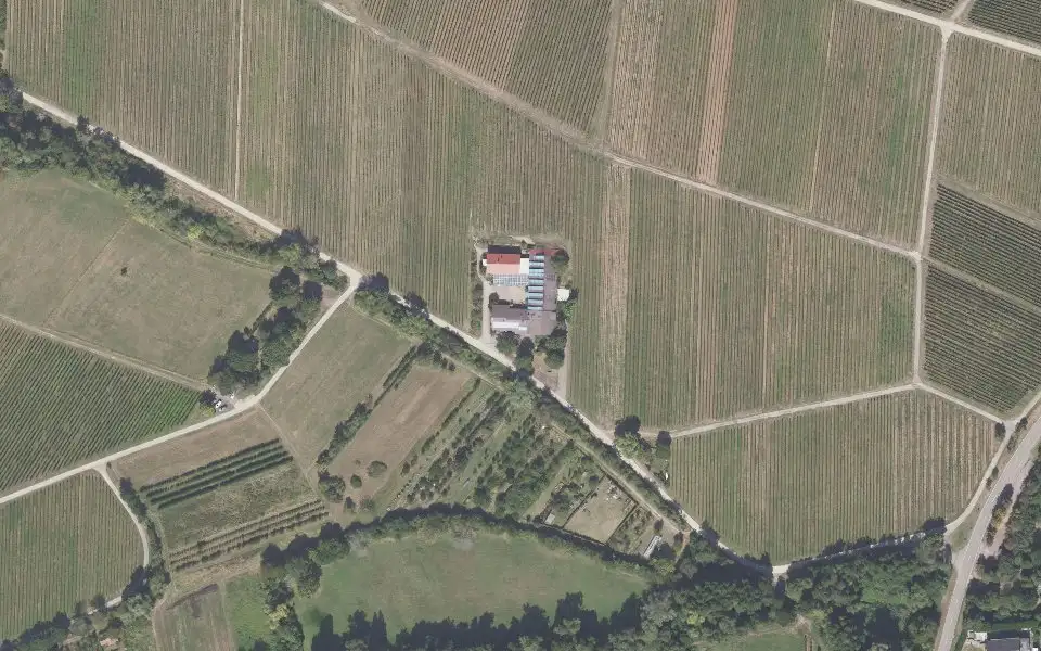 Luftbild der Umgebung von Weingut Becker in Ilbesheim bei Landau in der Pfalz