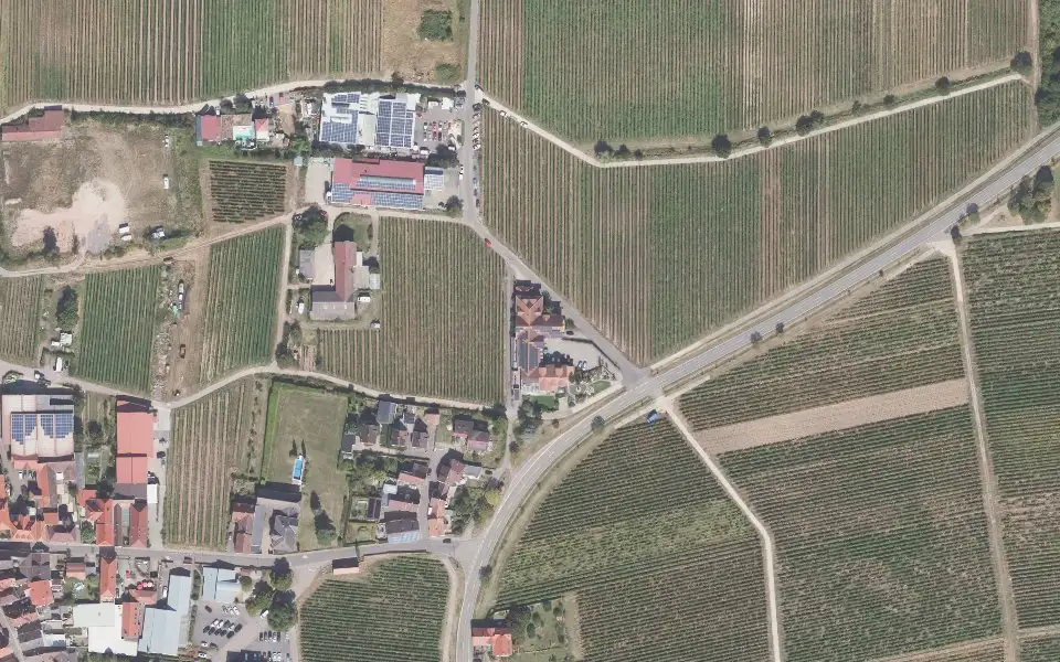 Luftbild der Umgebung von Weingut Fleischbein & Kienle in Burrweiler
