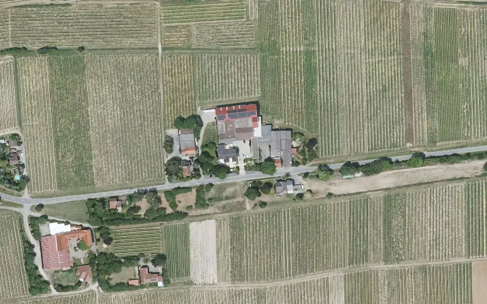 Luftbild der Umgebung von Weingut Kurt Erbeldinger und Sohn in Bechtheim