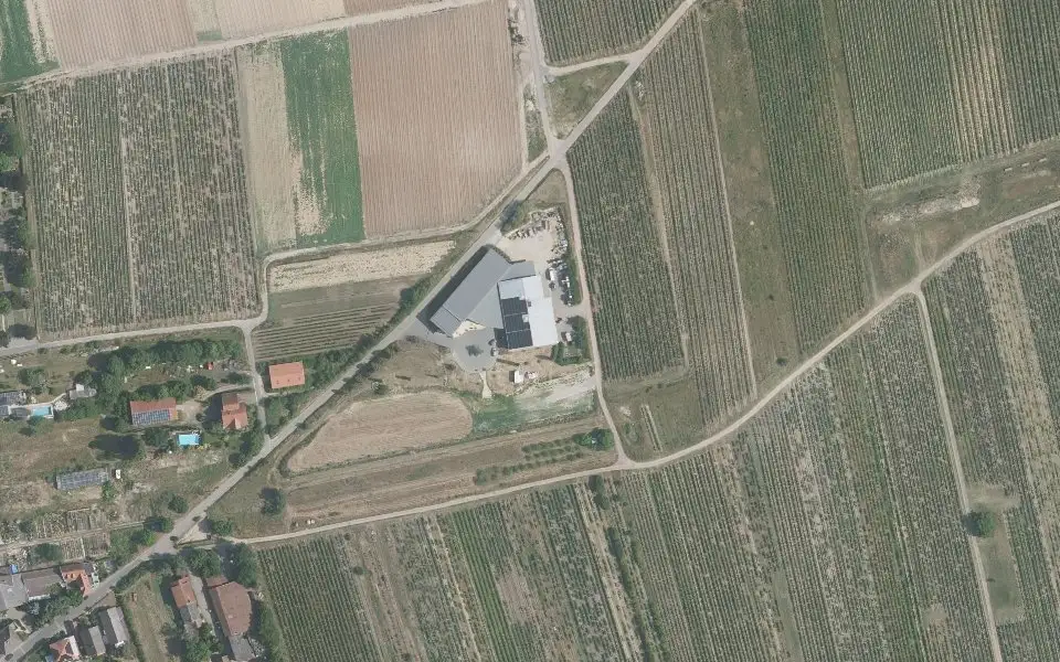 Luftbild der Umgebung von Weingut Langenwalter in Weisenheim am Sand