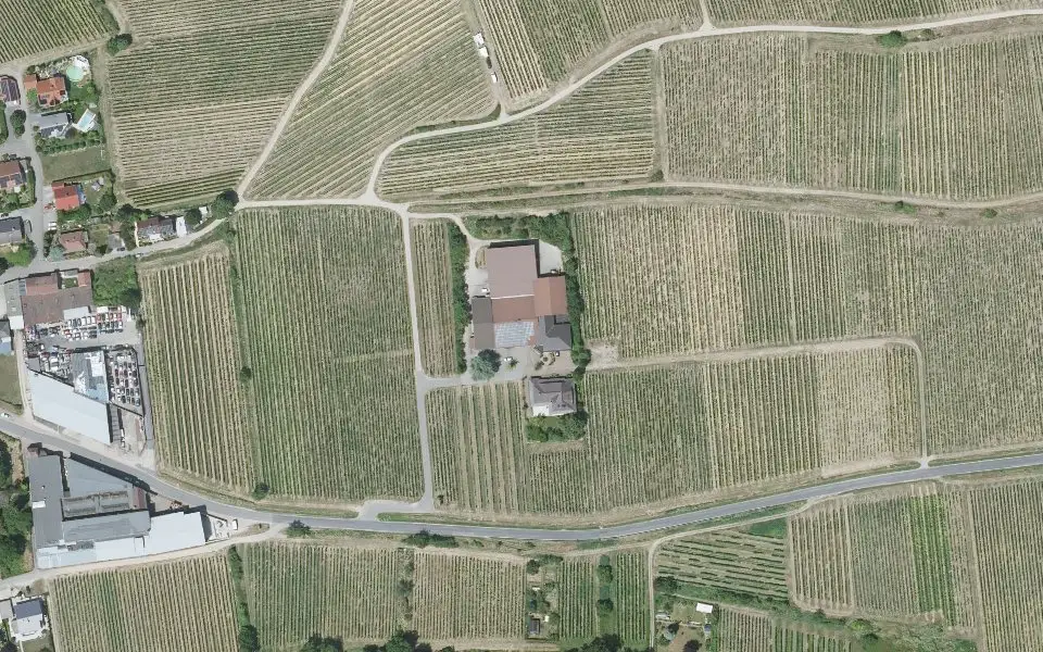 Luftbild der Umgebung von Weingut Machmer in Bechtheim