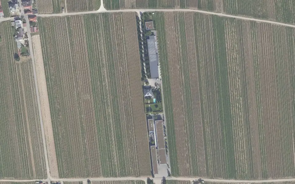 Luftbild der Umgebung von Weingut Markus Schneider in Ellerstadt