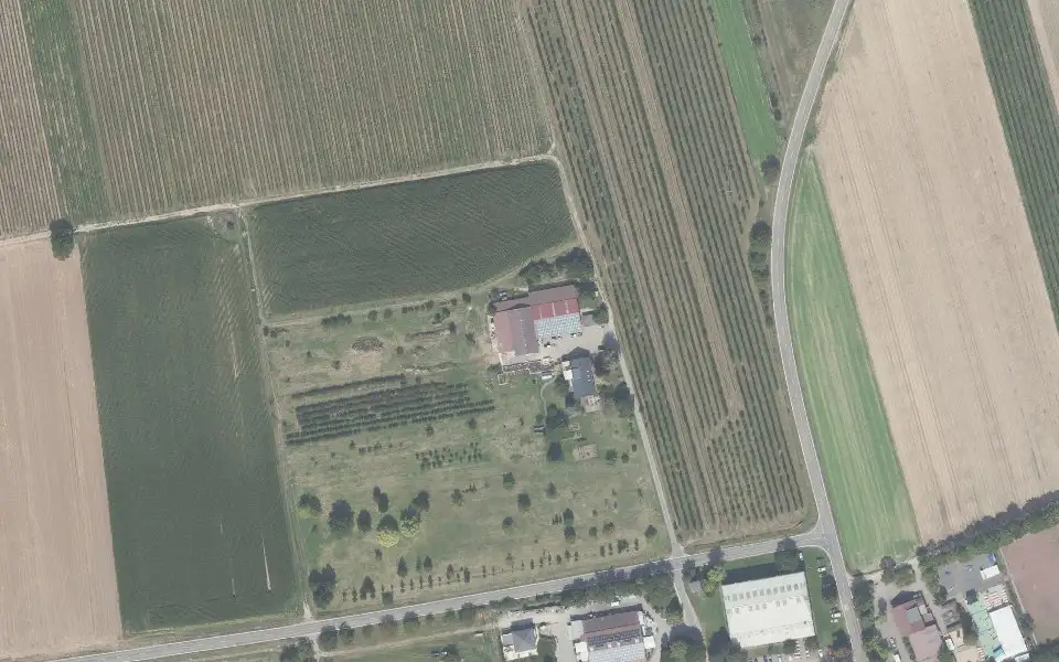 Luftbild der Umgebung von Weingut Metz (Lukas Metz) in Meckenheim