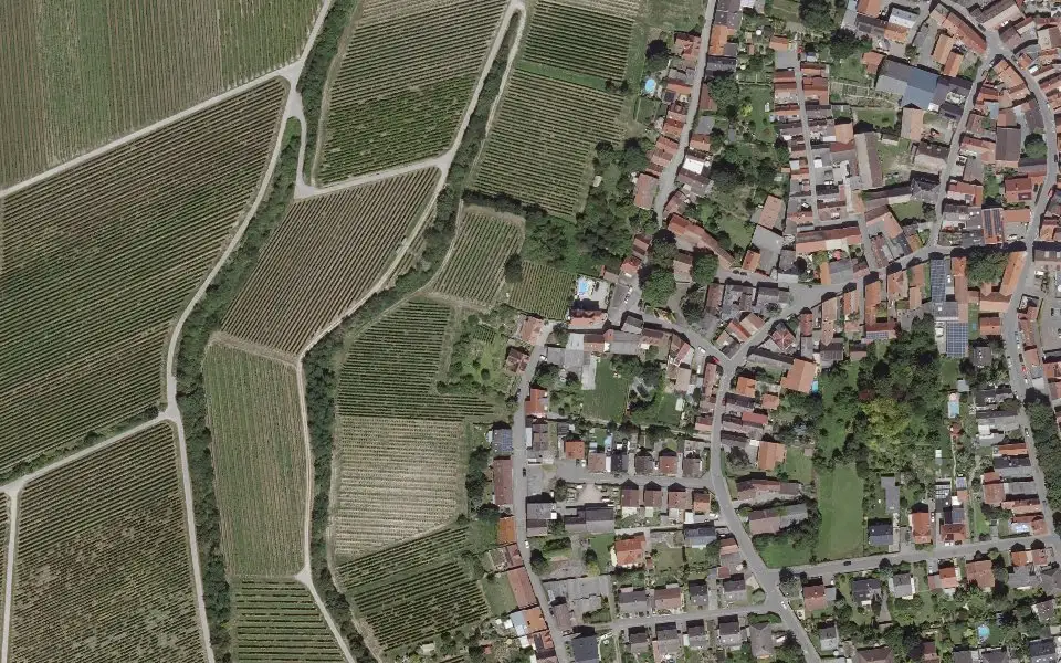 Luftbild der Umgebung von Weingut Reineck-Baltz in Guntersblum