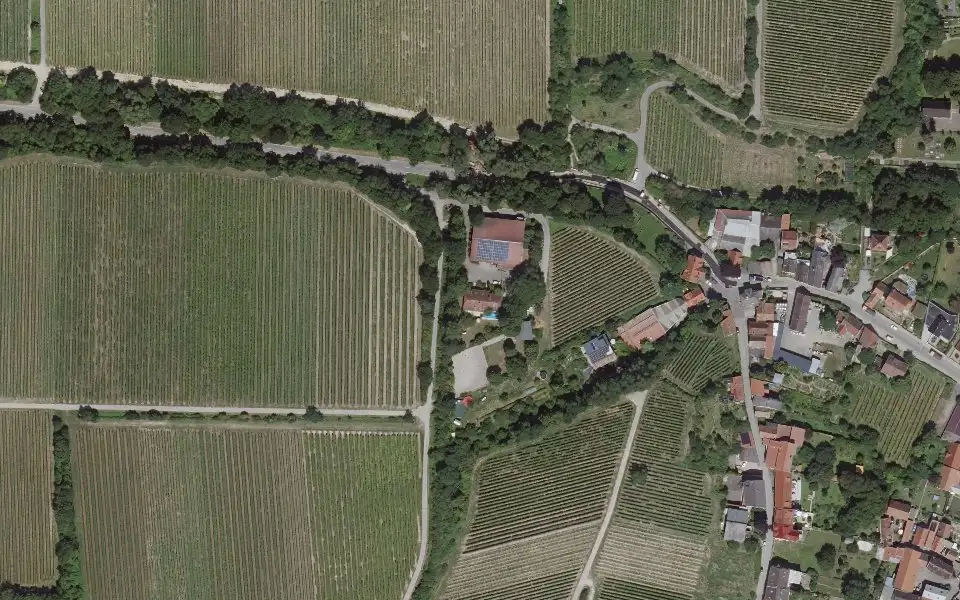 Luftbild der Umgebung von Weingut Rheinterrassenhof in Guntersblum