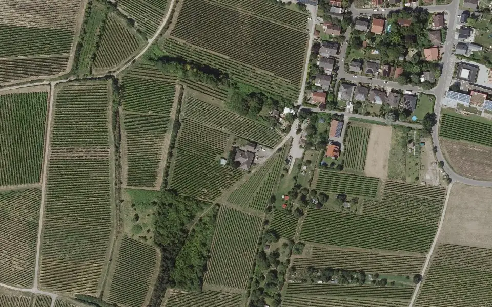Luftbild der Umgebung von Weingut Riemer in Alsheim