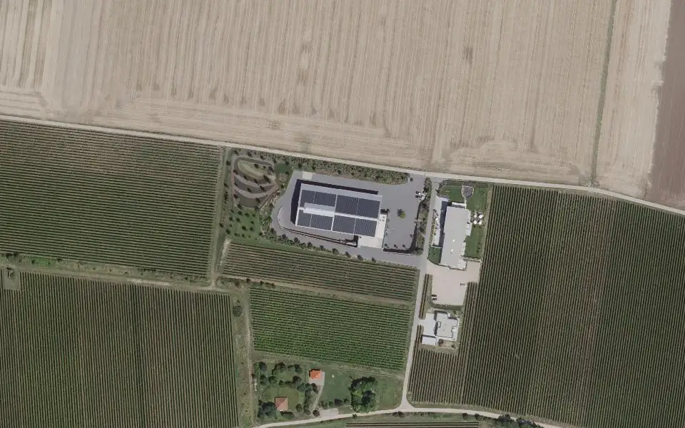 Luftbild der Umgebung von Weingut Tobias Becker - Mommenheim in Mommenheim