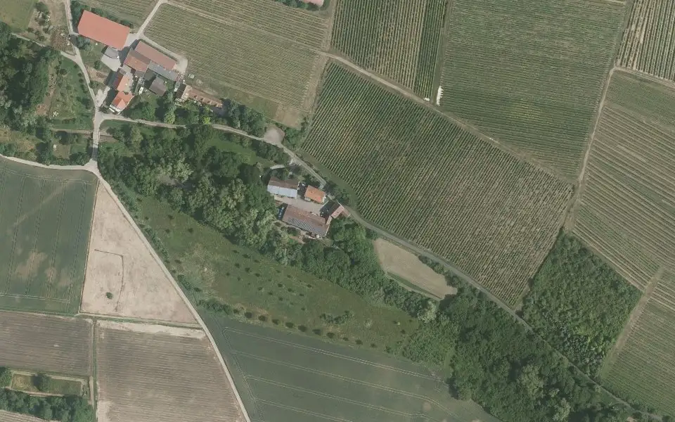 Luftbild der Umgebung von Weingut u. Gästehaus Ellbrück in Bissersheim